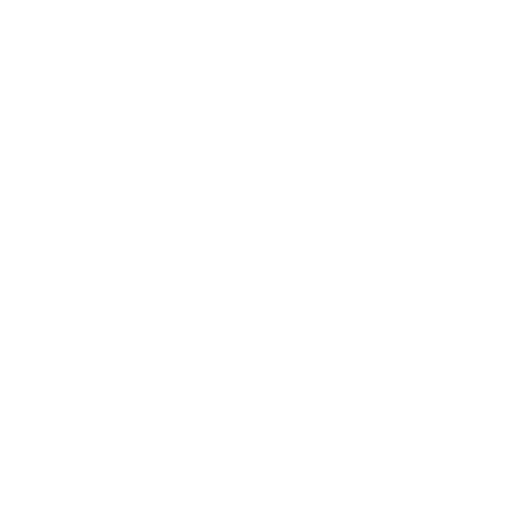 Año